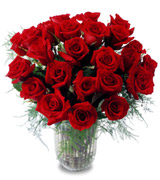 HAPPY VALENTINE 2009 roses and flowers florist arrangements for your 2009 Valentine's day in Miami Florida USA... As our florist tradition we use only fresh roses and premier flowers imported directly from Ecuador... long stemmed roses and great clear vase for our LOVELY ARRANGEMENTS... Roses and Flowers for your HAPPY VALENTINE in Miami...