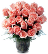 24 Roses for this special occasion... The best roses of the USA now available with a professional delivery services...