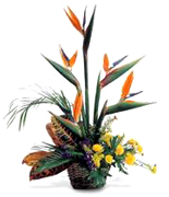 Mothers Day roses and vip flowers arrangements of 2007... Art Flowers offers the very best and most fresh flowers and roses imported direct from Ecuador and Colombia to our customers... Let us received your purchase order as soon as possible to schedule DELIVERY... VIP flowers arrangements for Mother's Day