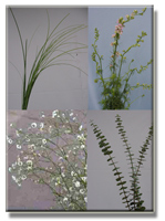 Fillers and similar products for Florist floral arrangements, .... Art Flowers your direct floral source