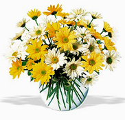 A great arrangement with daisies and spring flowers for your HAPPY EASTER in the USA and Canada... Flowers and roses of Art Flowers Miami...