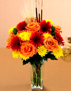 Happy Thanksgiving in Miami Florida and a great Turkey day in all the United States and Canada with this great fresh fall arrangement... In USA and Canada special flowers arrangements for this family day and enjoy your Thanksgiving table... Art Flowers more than just flowers arrangements... Express your feeling with the best Flowers...