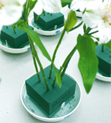 FLORAL FOAM OASIS complete range of seasonal and special Oasis floral foams floral foam wreaths, floral foam bricks, floral foam in cages, floral foam for pew markers, bouquet holders, cones, balls, spheres and topiary trees. Glass vase, foam oasis, wedding items, hellium balloons, teddy bear, florist accessories, ribbons, baskets, plastic containers, pots, florist packaging, greeting cards, florist paint, tapes, glue products, wires, paper wrap, glassware, ceramics, cardettes, and seasonal products... all at wholesale pricing to the USA and Canada florist. Art Flowers your wholesale flowers and wholesale roses of Miami, we deliver to all the USA and CANADA... Wholesale carnations, USA wholesale roses, USA wholesale fillers, wholesale exotics,... and a complete collection of florist supplies to support florist shop companies in USA and Canada... We offer you a great deal for your florist shop in Valentine season, mothers day, christmas, thanksgiving, easter, spring... Wholesale Roses and Flowers at Wholesale Pricing