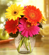 All your love to Dad!!! Happy father's day.. Art Flowers of Miami offers the best flowers, tulips, roses, plants and exotic tropical arrangements for our VIP customers... Order Online for an Express Delivery