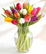 All your love to Dad!!! Happy father's day.. Art Flowers of Miami offers the best flowers, tulips, roses, plants and exotic tropical arrangements for our VIP customers... Order Online for an Express Delivery